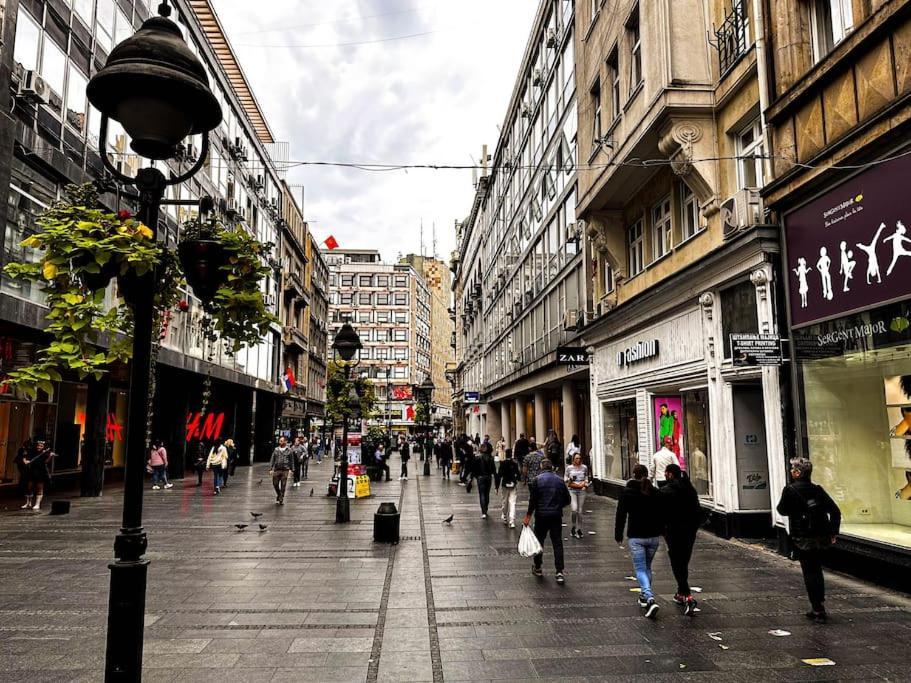 Apartment Insta-apt/walking Zone/knez Mihailova Belgrade