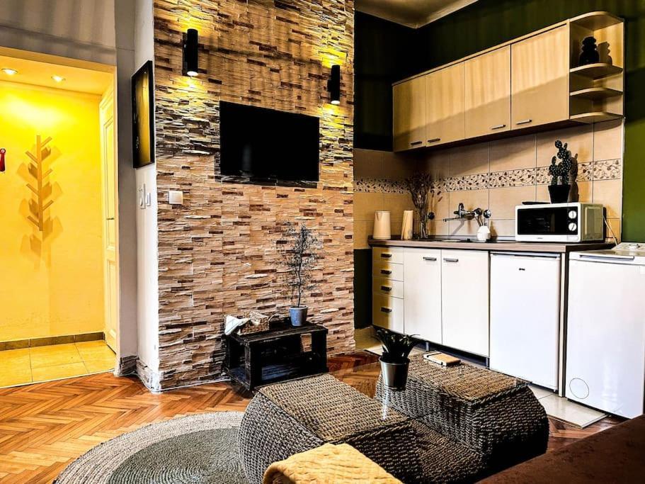 Insta-apt/walking Zone/knez Mihailova *